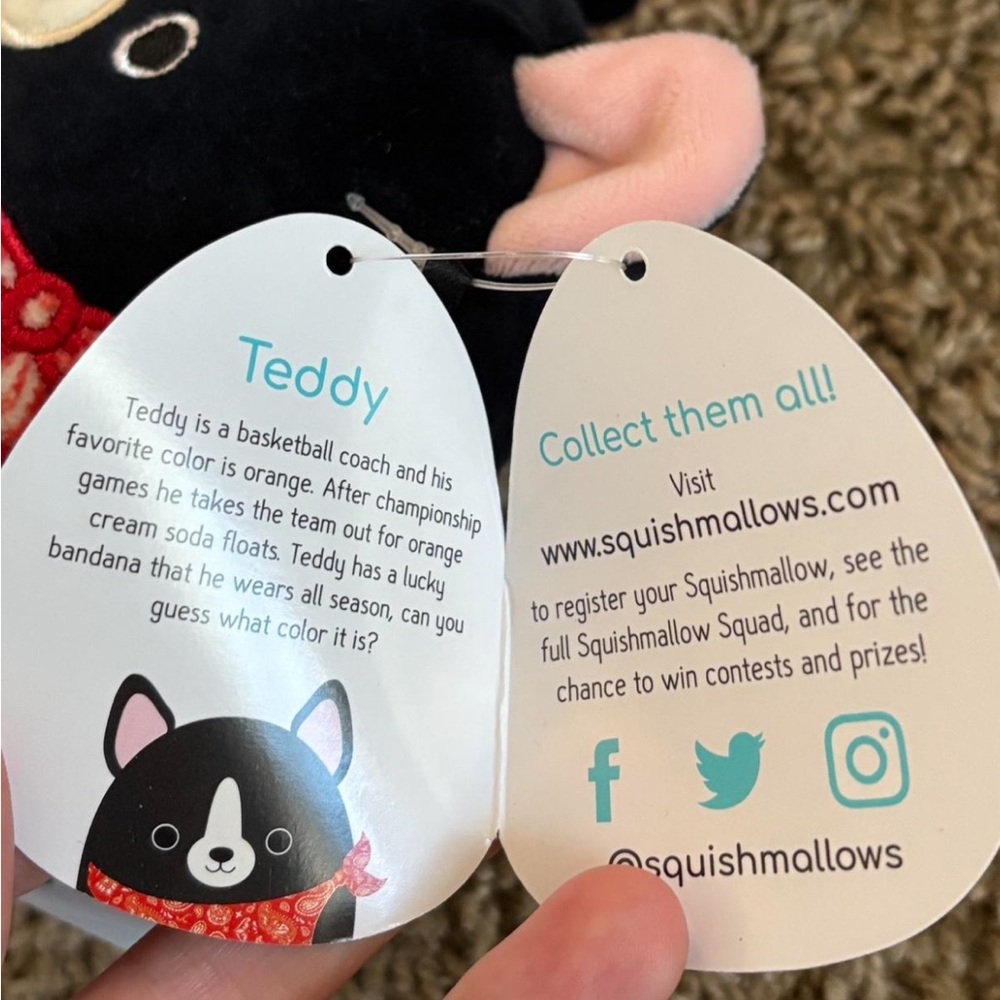 NWT 5” Teddy Black and white Squishmallows Kellytoy dog #squishmallow #Brandnew - Picture 4 of 4